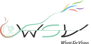 WSV Logo White